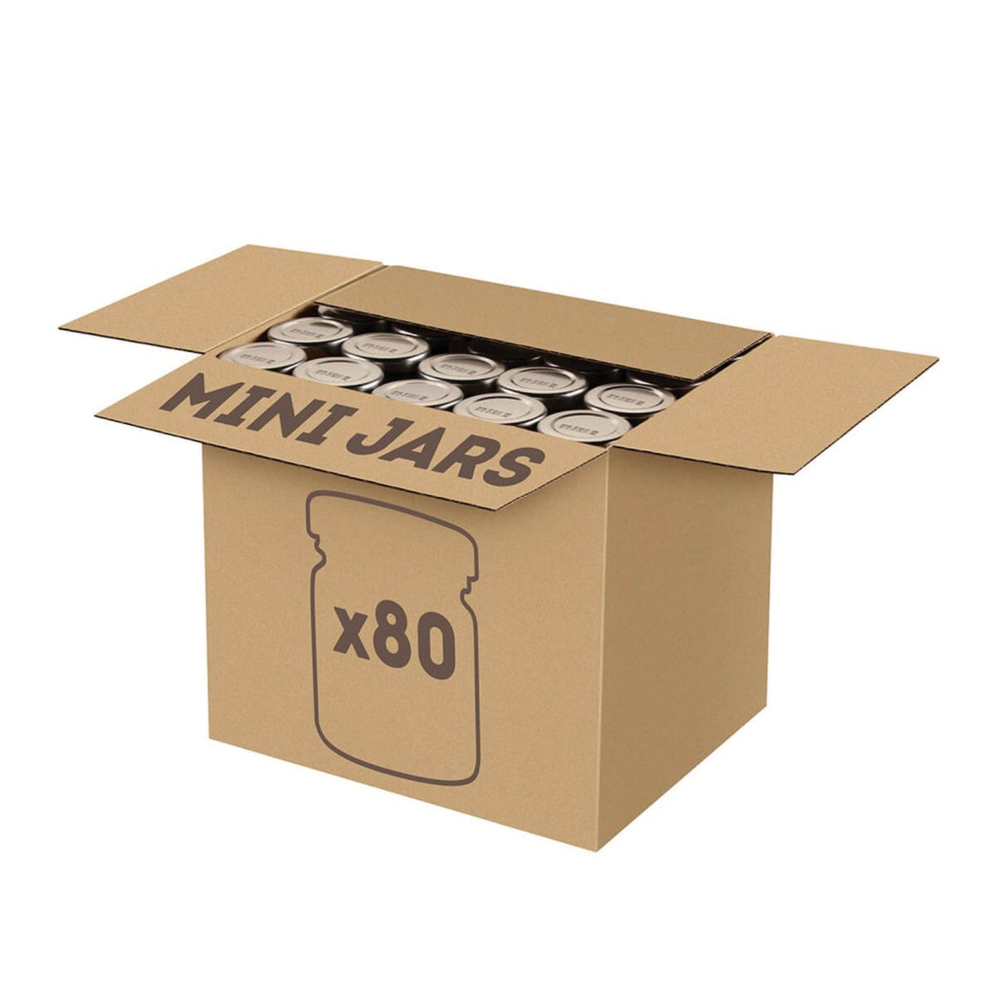 Heinz Tomato Ketchup Mini's - (80x34ml)